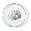 Diamond Smile sbiancamento dentale PAP+ polvere in provetta